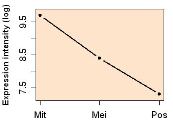 plot image