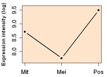 plot image