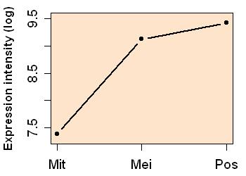 plot image