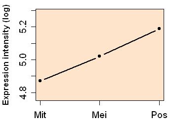 plot image