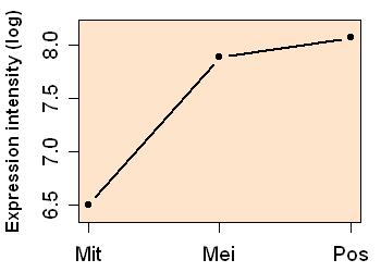 plot image