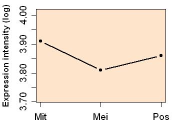 plot image