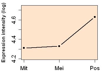 plot image