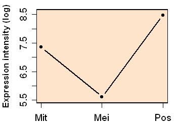 plot image