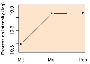 plot image