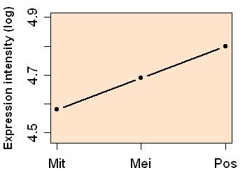 plot image