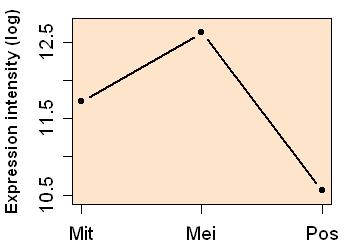 plot image