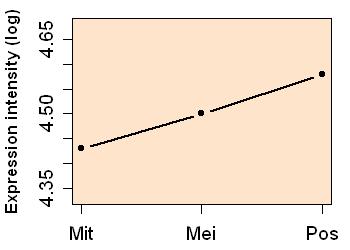 plot image