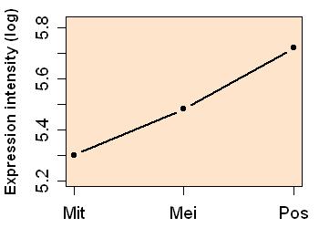 plot image