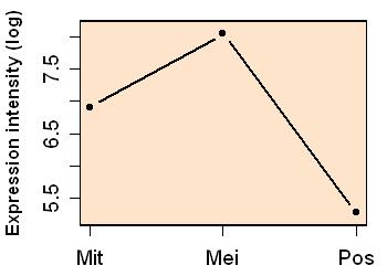 plot image