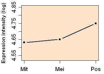 plot image