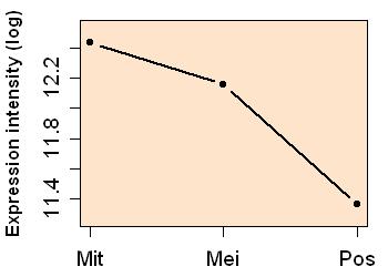 plot image