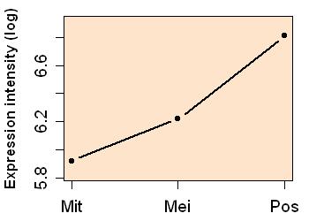 plot image