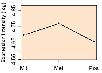 plot image