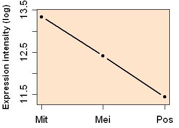 plot image