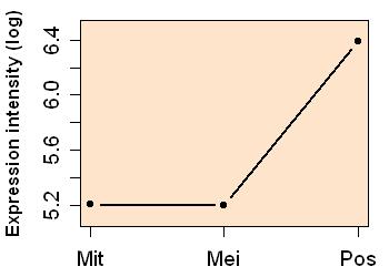 plot image