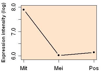 plot image