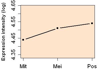 plot image