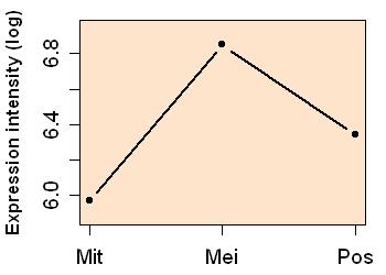 plot image