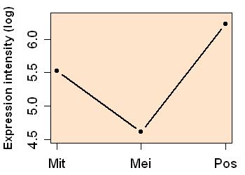 plot image