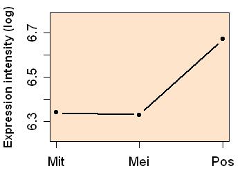 plot image