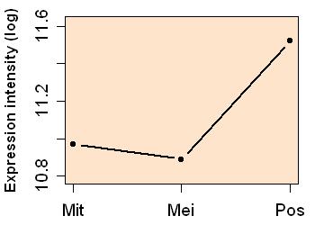 plot image