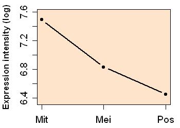 plot image