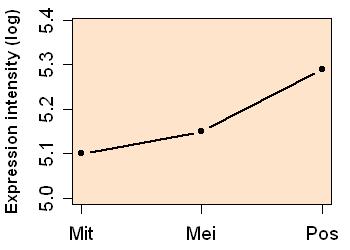 plot image