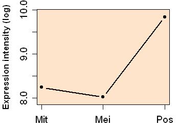 plot image