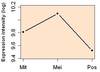 plot image