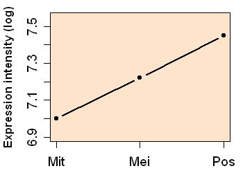 plot image