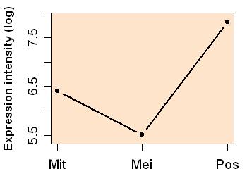 plot image