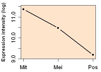 plot image