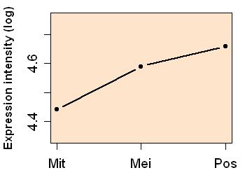 plot image