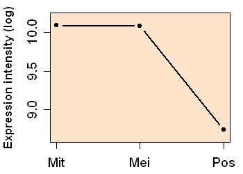 plot image