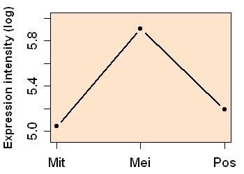 plot image