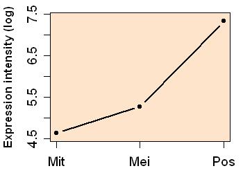 plot image