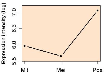 plot image