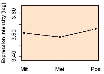 plot image