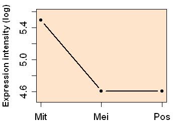 plot image