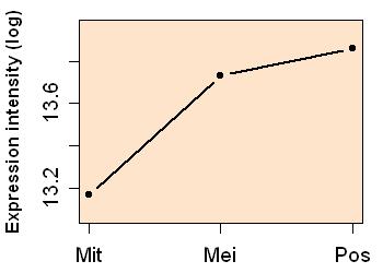 plot image