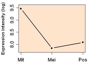 plot image