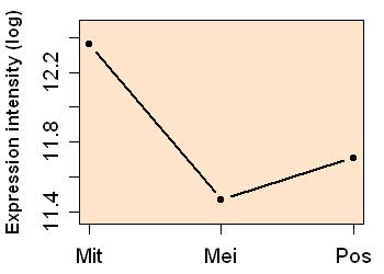 plot image