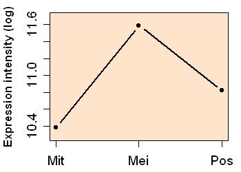 plot image