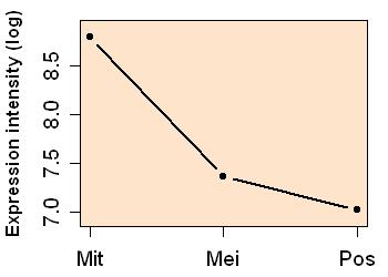 plot image