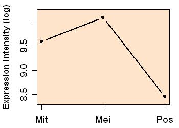 plot image