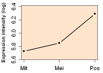 plot image