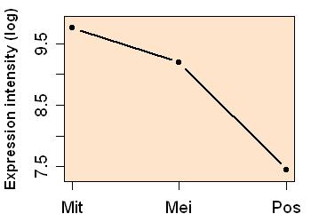 plot image