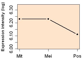 plot image