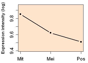 plot image